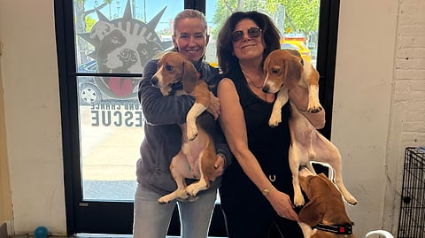 Jennifer Brooks of NYC Second Chance Rescue and Susan Chana Lask with rescued beagles.