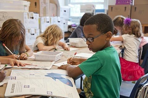 children engaged in learning activities