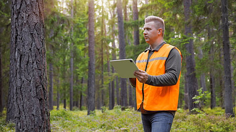 Man in an orange safety vest holding a tablet in a forest.