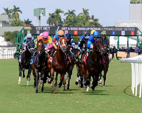 racing photo