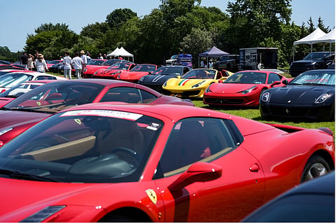 Row of red Ferraris and other collector cars on display on a lawn