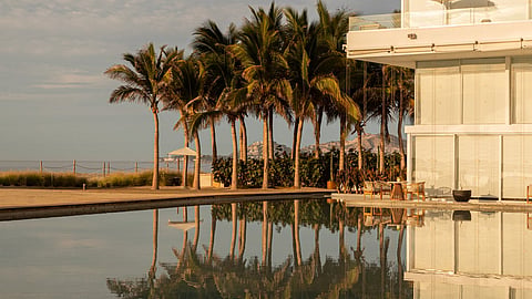 Palm trees reflecting in a pool beside white modernist architecture at Viceroy Los Cabos.