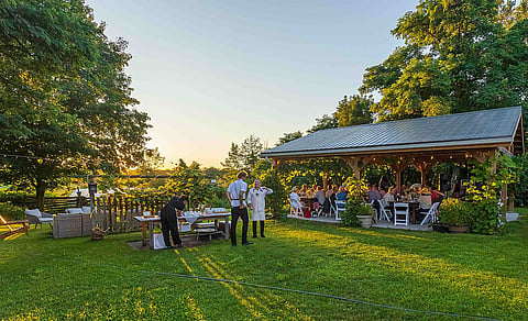 The grounds of Littlejohn Farm in Prince Edward County during the Summer Harvest Celebration
