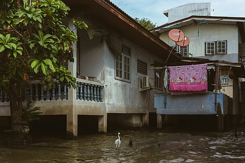 Bird in water by stilt houses.