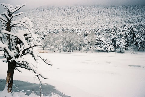 Snowy winter landscape.
