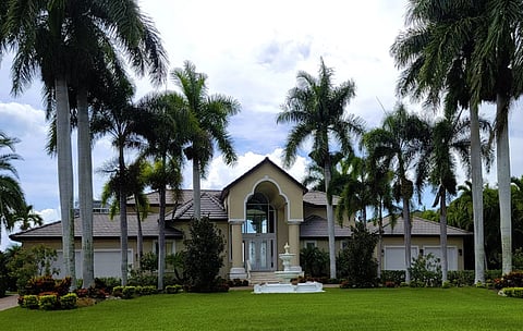 House with fountain and palm trees