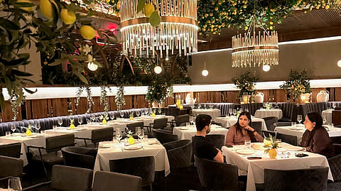 Dining room with white tablecloths beneath hanging lemon trees and crystal chandeliers