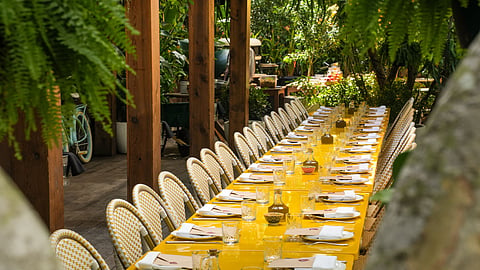 Long yellow table set for a communal meal under a pergola in a leafy garden
