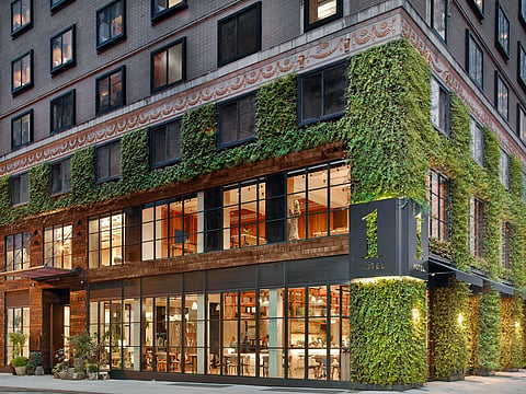 A hotel facade covered in climbing greenery with lit ground-floor windows at dusk