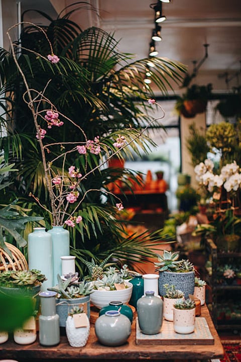 PLANTSHED – FIRST FLORAL CAFE ON THE U.W.S.