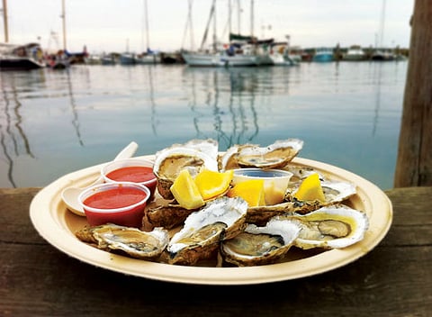 The New England Island Life of Martha’s Vineyard