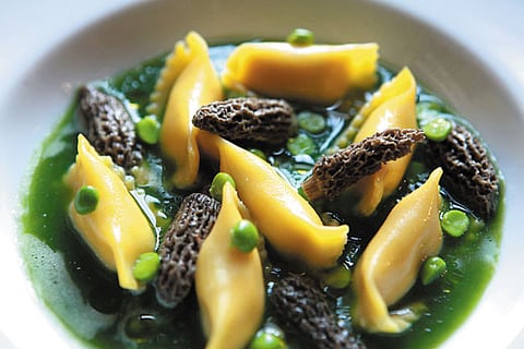A Culinary Gift to Gownaus