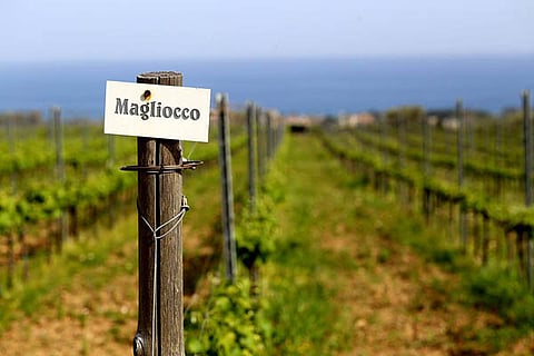NOW OFF TO THE BEATEN PATH IN ITALIA