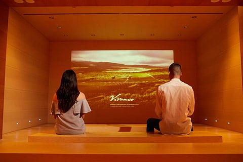 17/6/18 Bodegas Vivanco, Briones, La Rioja, Spain. Photo by James Sturcke