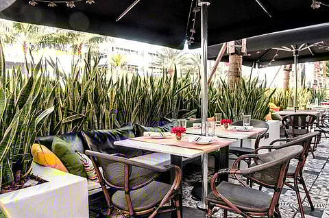 Hotel Croydon: 4 Reasons to Put this Miami Beach Hot Spot on Your Radar