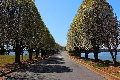 Governors Island on Lake Norman