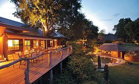 Mala Mala and its Land of Wonder