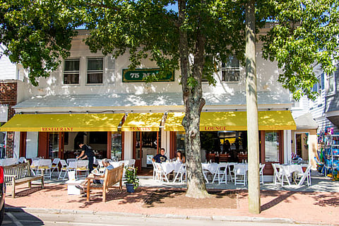 Hamptons Social Survival Guide