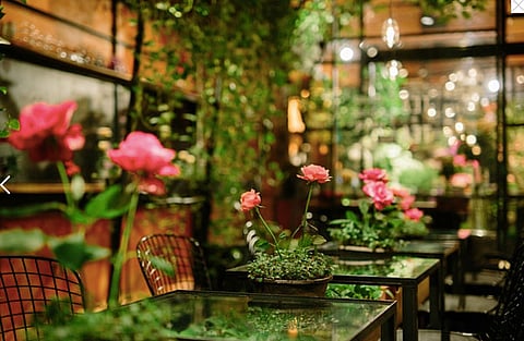 TOKYO CITY GUIDE FOR THE ADVENTURER IN YOU