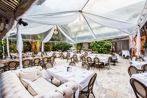 SOUTH FLORIDA’S VIBRANT CULINARY SCENE