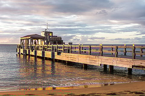 Monkey Around at the Four Seasons, Nevis
