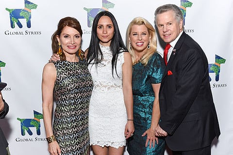 GLOBAL STRAYS FUNDRAISING EVENT