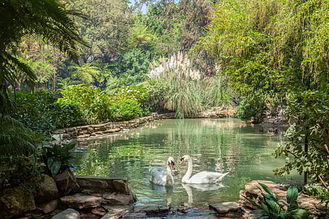 DORCHESTER COLLECTION HOTELS FOR SPRING