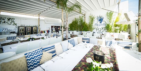 RELIVING SUMMER IN THE SOUTH OF FRANCE