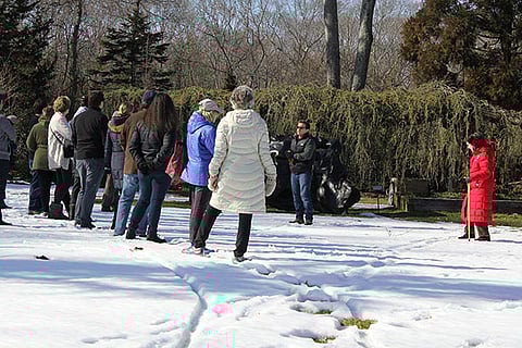 LATE WINTER WALK WITH ALEX FELEPPA