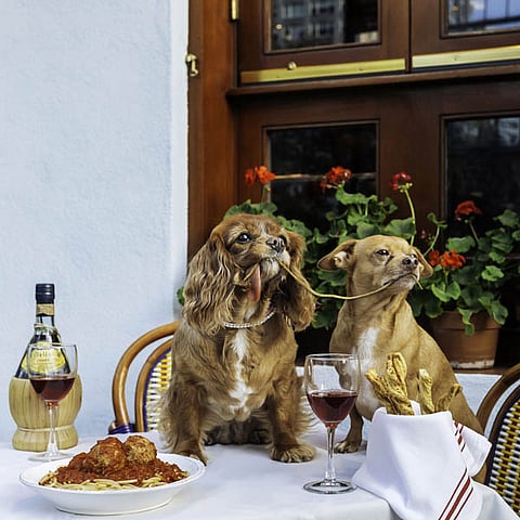 Toast Meets World and Finn tie the Knot