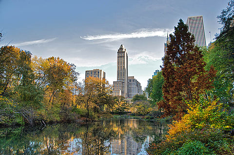 Fall In New York: The 8 Best Ways to Experience It