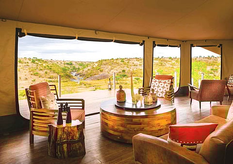 The Insider’s Guide To The Ultimate Safari Experience