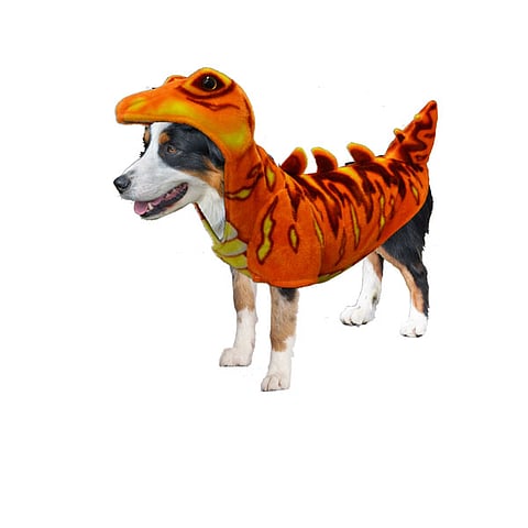 HALLOWEEN COSTUMES FOR YOUR DOGS BY CANINE STYLES