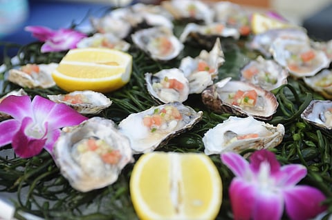 17th ANNUAL SOBEWFF FROM FEB. 21-25, 2018