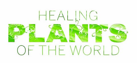 Healing Plants of the World