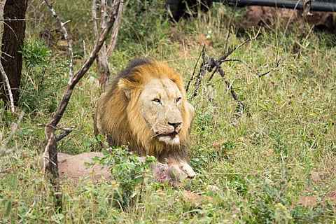 THE HIDDEN PLANETS OF OUR WORLD