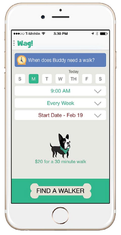 Wag! dog walking app launcheD in NYC