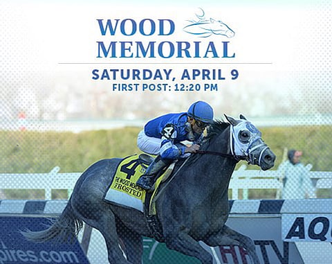 The Wood Memorial Race at Aqueduct Racetrack