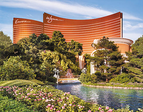 Wynn Wonderland