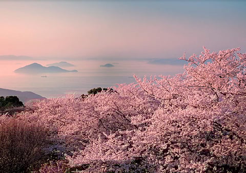 Japan’s Setouchi Region Onsens Spurring ‘Healing Holiday’ Travel