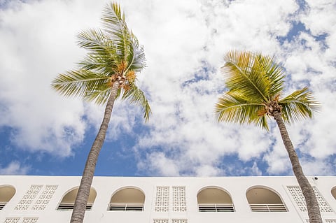 Sint Maarten To Host First Annual Food Festival This November