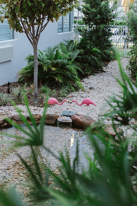 Indulge in Valentines Day Luxury Hotel Experiences