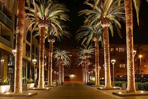 San Jose, CA – Anniversary Celebrations and Must-Visit Places