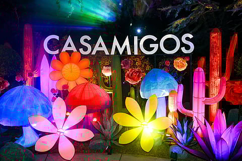 LOS ANGELES, CALIFORNIA - OCTOBER 27: Displays and signage are seen during the Annual Casamigos Halloween Party on October 27, 2023 in Los Angeles, California. (Photo by Alberto E. Rodriguez/Getty Images for Casamigos)