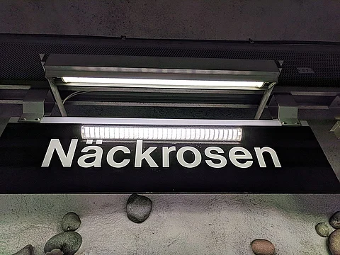 De rödgröna öppnade spärrarna i Stockholms tunnelbana – stölderna ökade med 300 procent