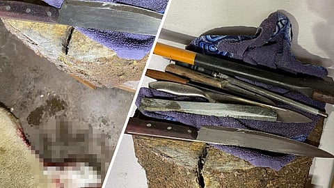 Palestinier halalslaktade får i Smålandskällare