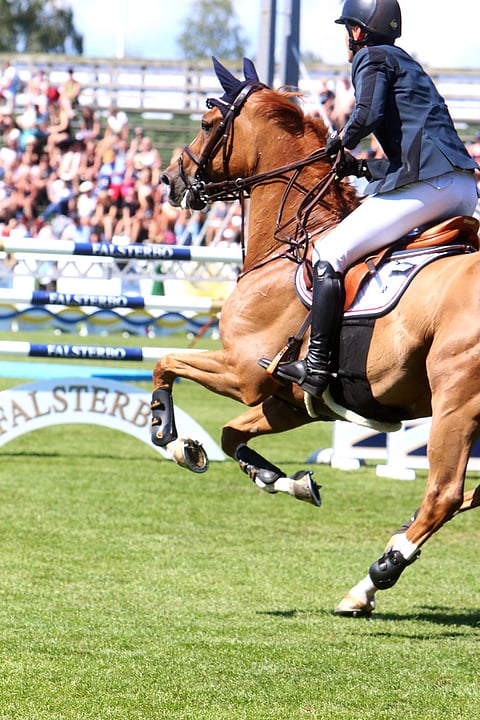 Samarbetet mellan Falsterbo Horse Show och Al Shira’aa Stables avslutas efter islamiseringskritik
