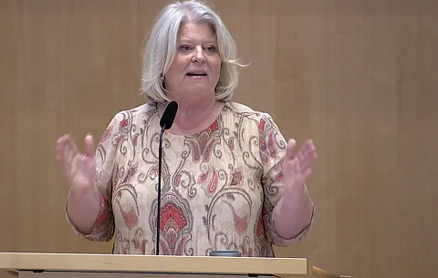 Camilla Waltersson Grönvall (M), socialtjänstminister
