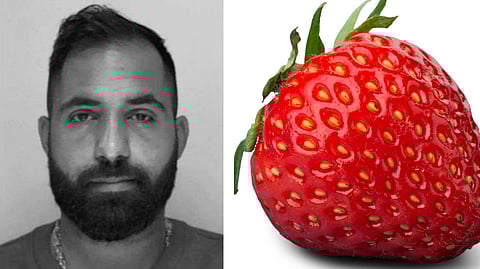 Ismail "Jordgubben" Abdo | Foto: Polisen, Genrebild