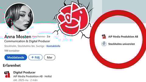 Anna Mosten & AIP | Foto: Linkedin